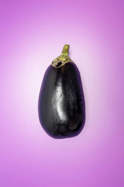 istock Creative shot of a eggplant 1177199174