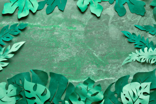 istock Paper craft background, frame with exotic tropical leaves with text space on dark 1177200808