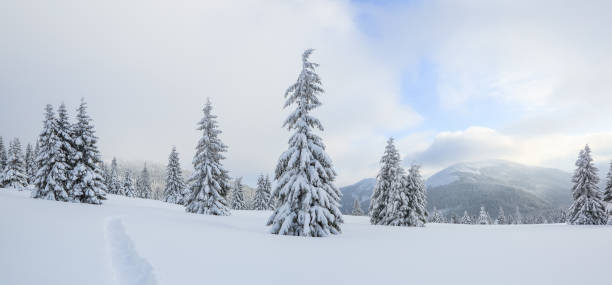 istock Winter landscape. Spectacular panorama is opened on mountains, trees covered with white snow, lawn and blue sky with clouds. 1177200903