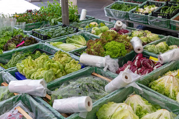 istock Salads Market 1177211814
