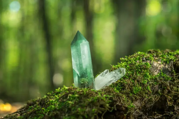 Photo of Large green quartz crystal on the background of autumn moss and foliage. Beautiful gem chalcedony in sunshine