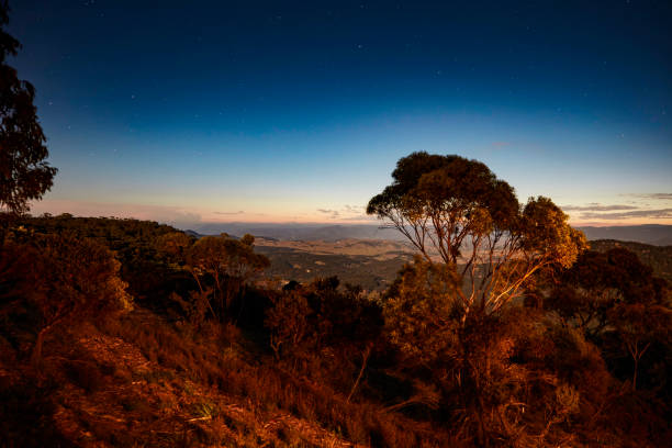 istock Aerial view on landscape 1177213951