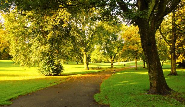 istock The first days of Autumn. 1177216752