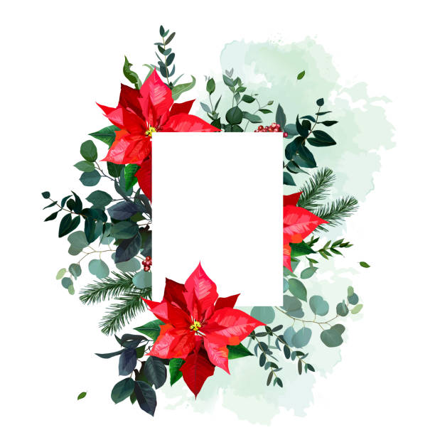 ilustraciones, imágenes clip art, dibujos animados e iconos de stock de flores de poinsettia rojas, vegetación navideña, eucalipto esmeralda - illustration technique leaf evergreen tree wedding