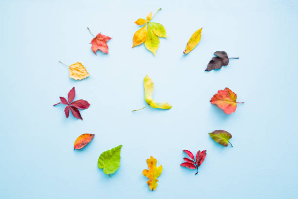 Clock created from colorful different autumn leaves on pastel blue background. Time change concept. Top view.