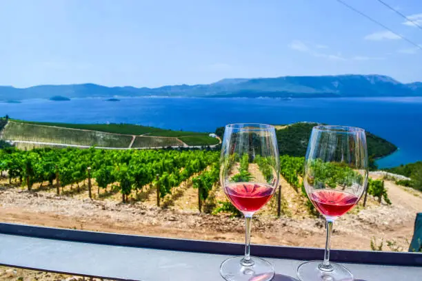 Glasses of wine on the background of vineyards.