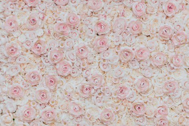 istock Photo of floral wall 1177221159