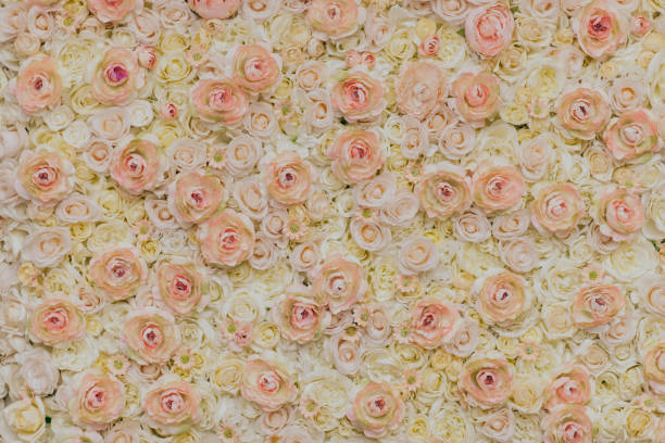 istock Photo of floral wall 1177221163