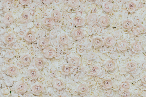 istock Photo of floral wall 1177221165
