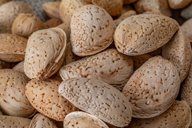 istock almonds and shelled almonds for health 1177222888