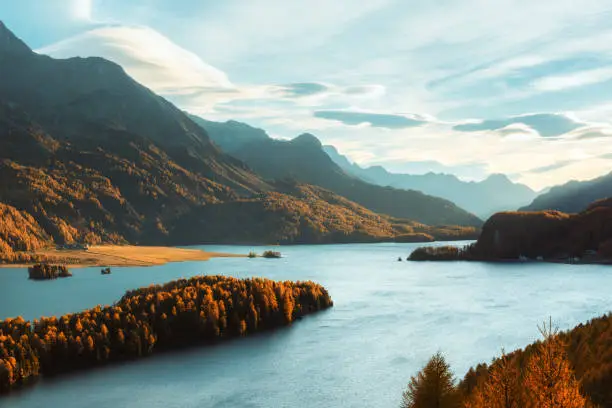 Epic view on autumn lake Sils (Silsersee) in Swiss Alps. Autumn forest with yellow larch on background. Landscape photography