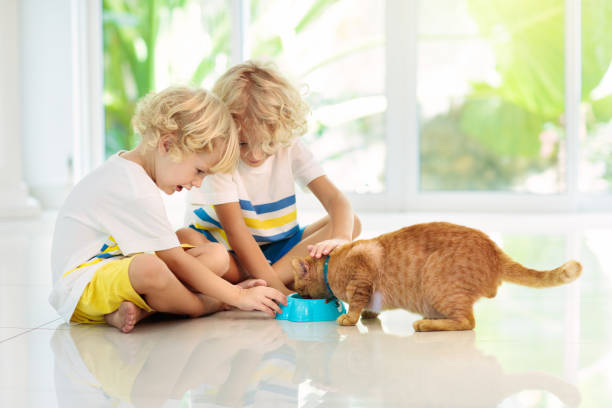 istock Child feeding home cat. Kids and pets. 1177224914