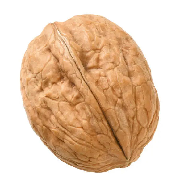 Whole ripe walnut on white background