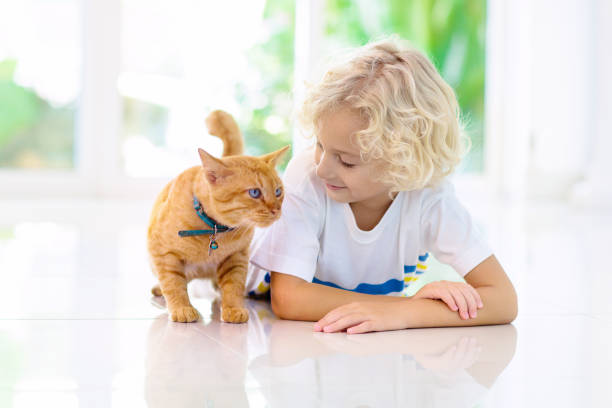 istock Child feeding home cat. Kids and pets. 1177225962
