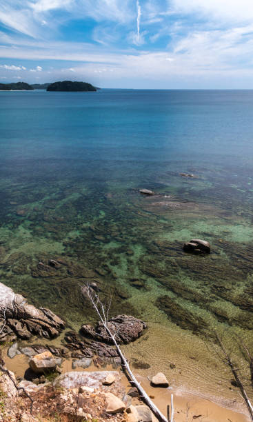 Bornean coastline stock photo