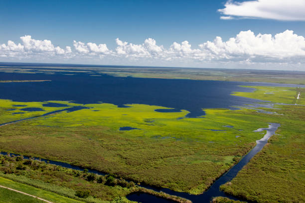 istock Aerial Lake Okeechobee Florida 1177230552