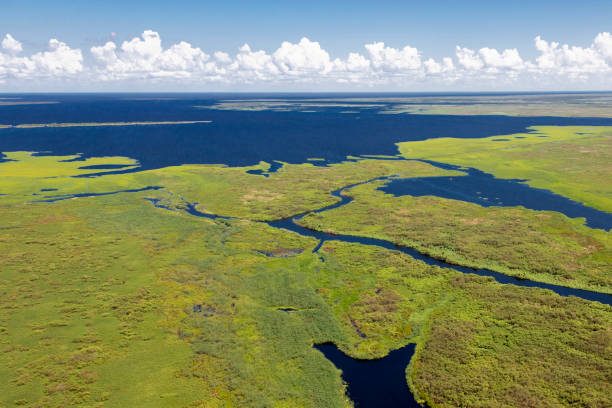 istock Aerial Lake Okeechobee Florida 1177230886