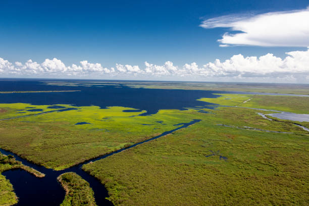 istock Aerial Lake Okeechobee Florida 1177231261