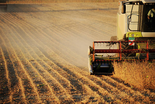 "harvest" - monoculture working busy action stock-fotos und bilder