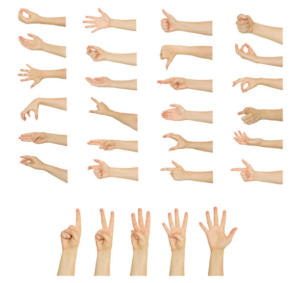 istock Set of woman's hand measuring invisible items. Isolated on white 1177237441