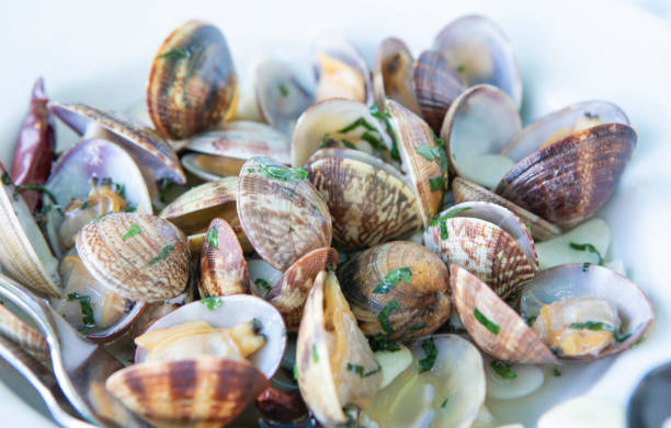 istock Clams with parsley in Lanzarote 1177239684