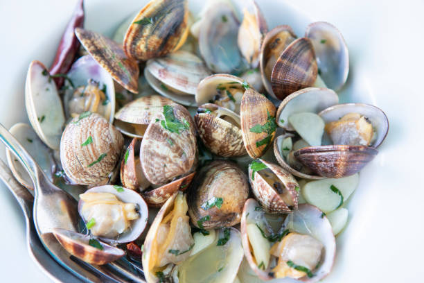 istock Clams with parsley in Lanzarote 1177239694
