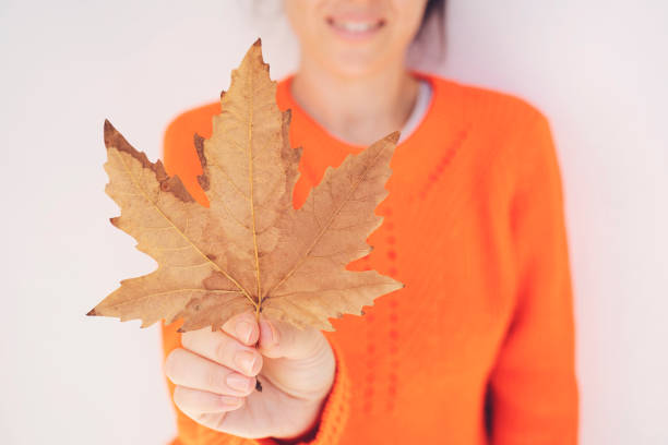 Autumnal leaf in the hands of a girl with brown manicure. Early autumn, fall October. Yellow autumn leaves. Autumn leaf on a background of tree bark in a park in daylight. Autumn manicure in a woman Women, One Woman Only, Only Women, Human Face, Young Women, Autumn beautiful multi colored tranquil scene enjoyment stock pictures, royalty-free photos & images