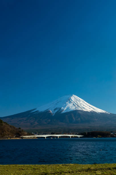 istock Mt. Fuji at kawaguchiko Fujiyoshida, Japan. 1177244006