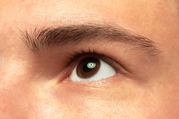 istock Caucasian young man's close up shot on green background 1177245413