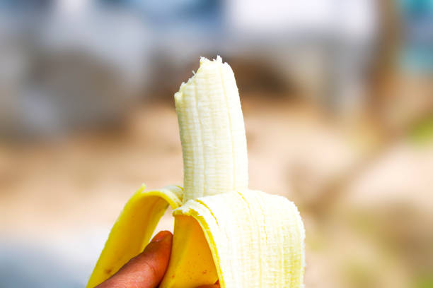 la banana nelle mani del giovane sta mangiando banane nel parco. - mature women isolated mature adult women foto e immagini stock
