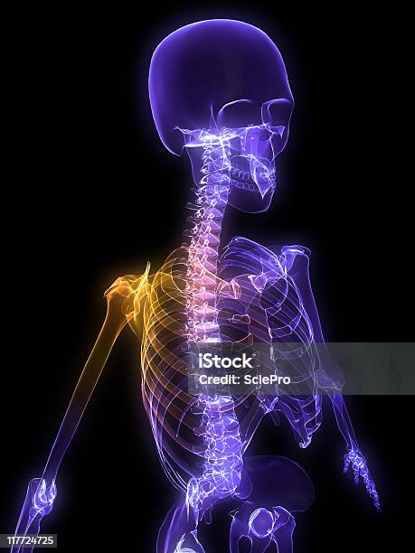 Dor Do Ombro - Fotografias de stock e mais imagens de Anatomia - Anatomia, Articulação - Parte do corpo, Articulação humana