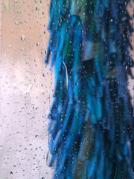 istock Blue Carwash Brush 1177254998