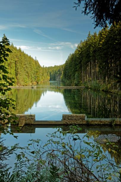 Tambach-Dietharz reservoir in Thuringia