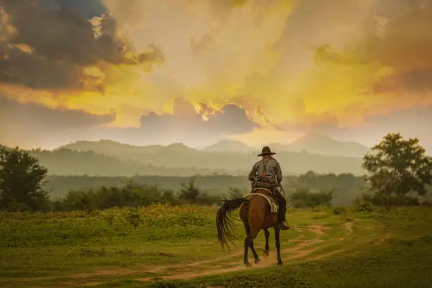 Photo of Silhouette Cowboy riding a horse under beautiful sunset