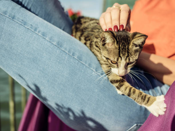 istock End of the summer 1177265769