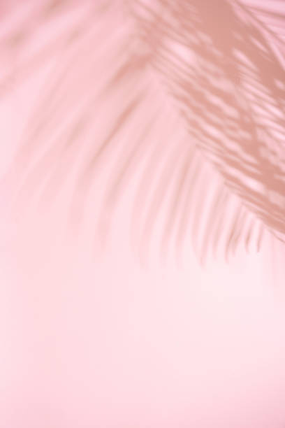 istock Summer beach day scene with tropical plams shadow on pink background. 1177265961