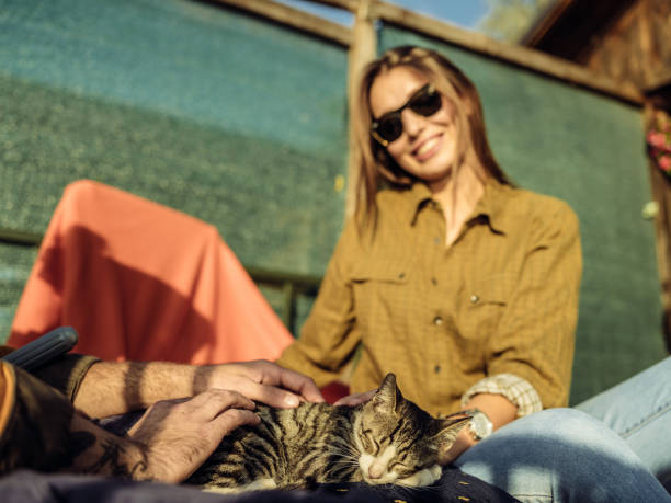 istock End of the summer 1177266085