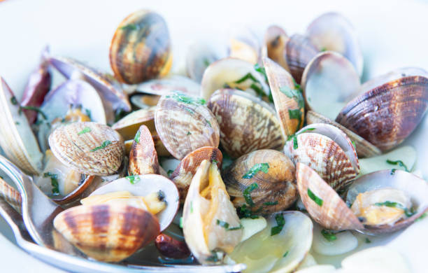istock Clams with parsley in Lanzarote (clams to the sailor) 1177266842