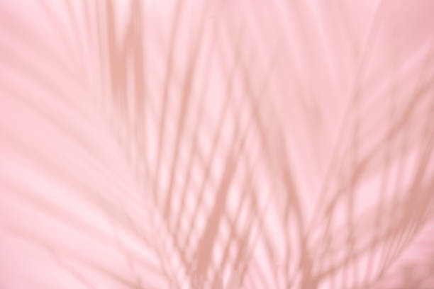 istock Summer beach day scene with tropical plams shadow on pink background. 1177267838