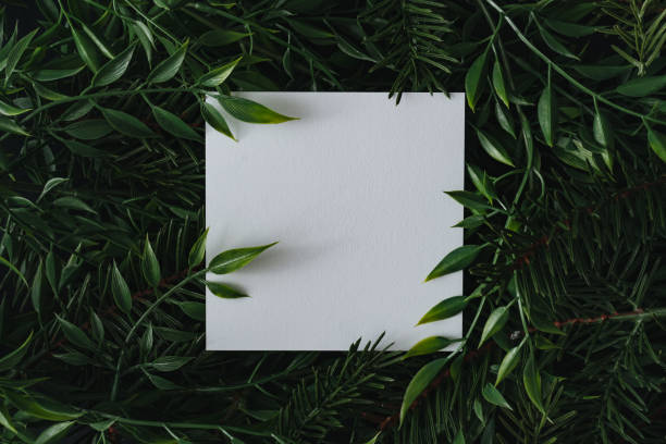 istock Creative winter layout made of branches and leaves with paper card note. 1177267942