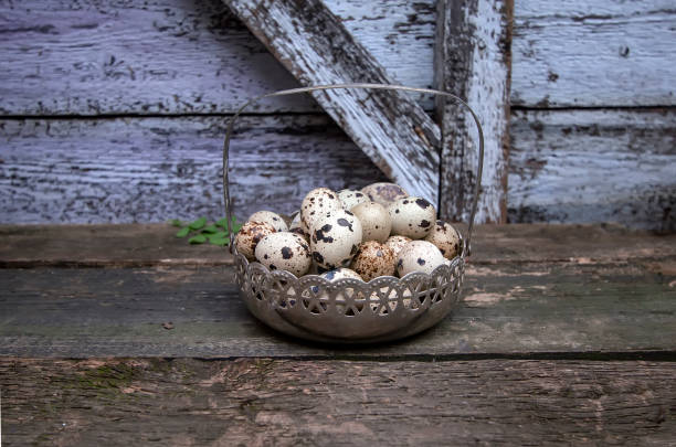 istock fresh delicious farm quail eggs 1177268074