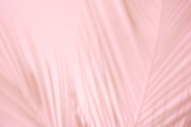 istock Summer beach day scene with tropical plams shadow on pink background. 1177268093