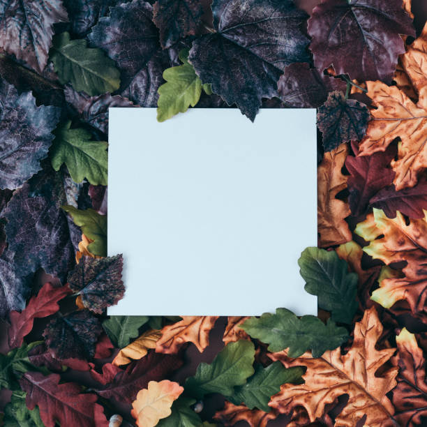 istock Autumn or fall scene background with leaves and shadows. 1177268113