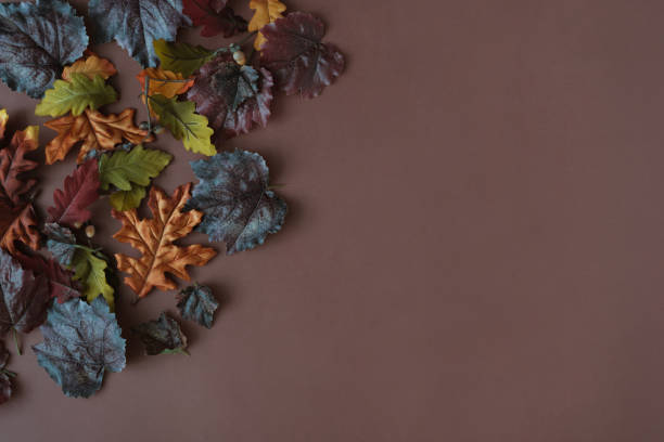 istock Autumn or fall scene background with leaves and shadows. 1177269028