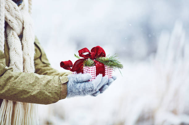 istock Gloved hands holding beautifully wrapped Christmas gift in snowy setting 1177269109