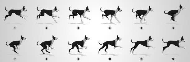Dog Run cycle animation Sequence Dog Running animation frames and sprite sheet, Great dane dog running giant fictional character illustrations stock illustrations