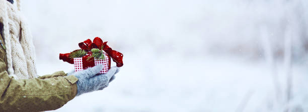 Gloved hands holding beautifully wrapped Christmas gift in snowy setting