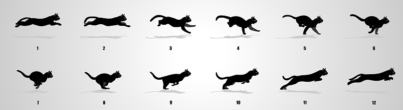 Cat Running animation frames and sprite sheet,Silhouette