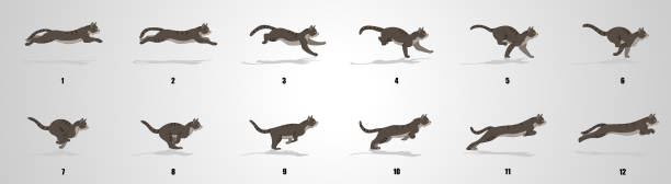 Cat Run cycle animation Sequence Cat Running animation frames and sprite sheet,Silhouette cat jumping stock illustrations