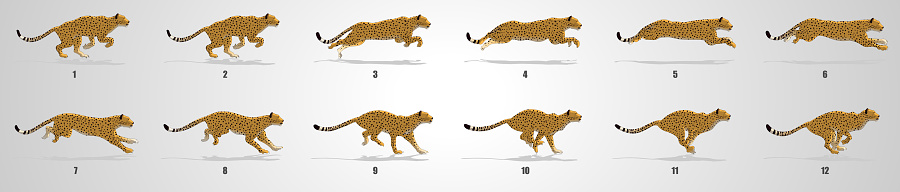 Cheetah Running animation frames and sprite sheet